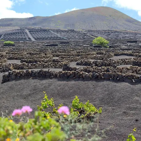 Appartement Tea-rose Loft Conil